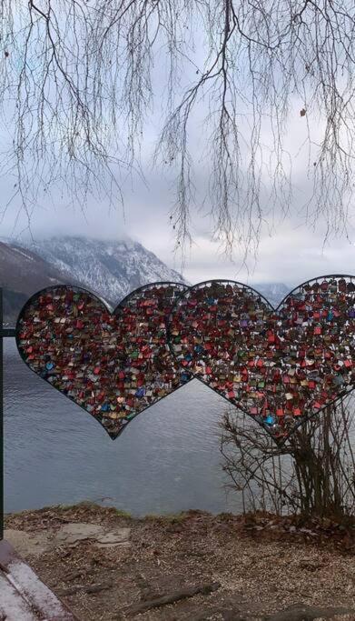 Wohnung See- Und Bergnaehe Gmunden Εξωτερικό φωτογραφία