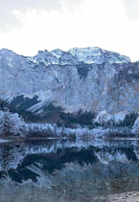 Wohnung See- Und Bergnaehe Gmunden Εξωτερικό φωτογραφία